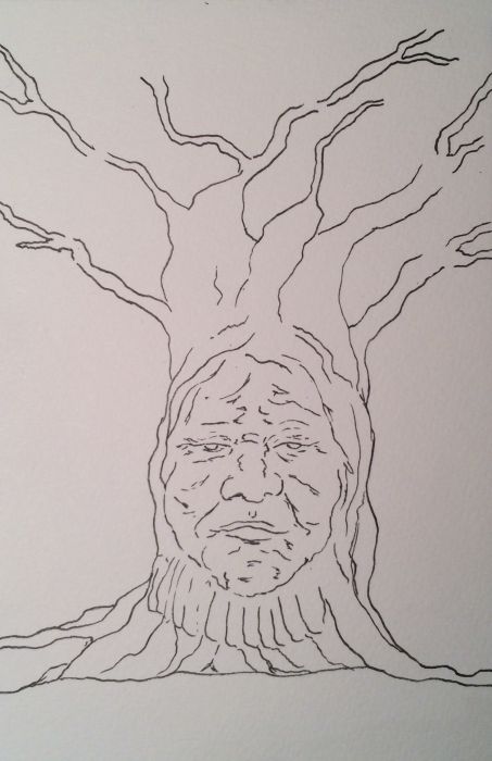 Grandmother Tree by Heather Kilgore